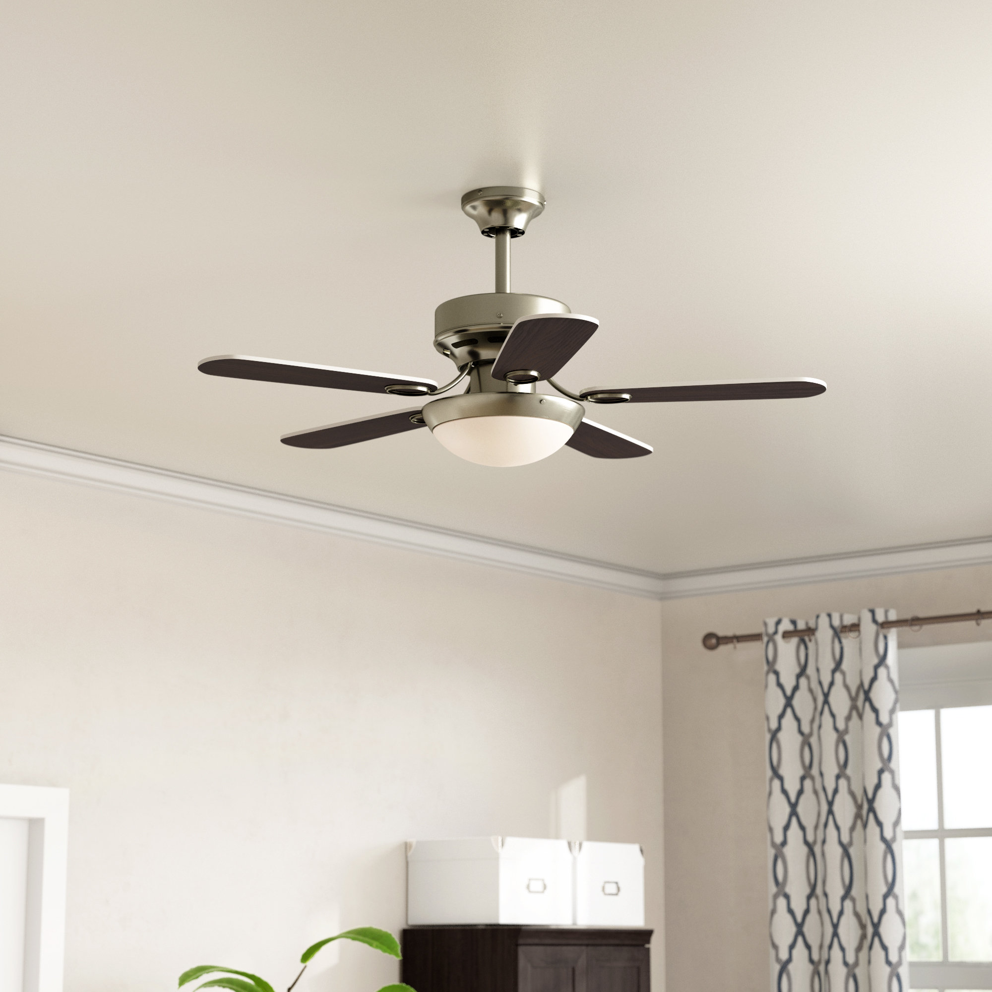 Andover Mills 36 Novotny Two Light Reversible 5 Blade Ceiling Fan