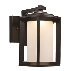 Loeffler 1-Light Outdoor Wall Lantern
