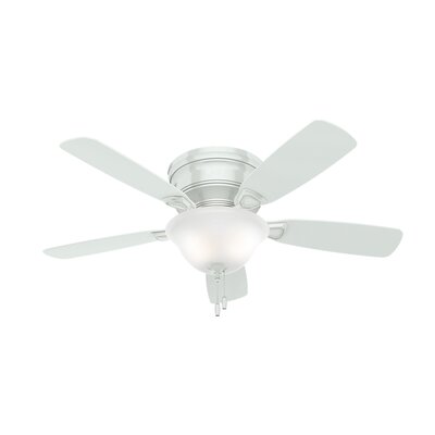 Hunter Fan 48 Inch Low Profile 5 Blade Ceiling Fan Light Kit Included