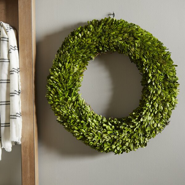 Preserved Boxwoods Preserved Wreath by Laurel Foundry Modern Farmhouse