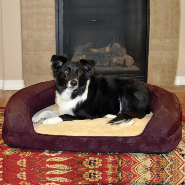 Deluxe Ortho Sleeper Bolster Dog Bed by K&H Manufacturing