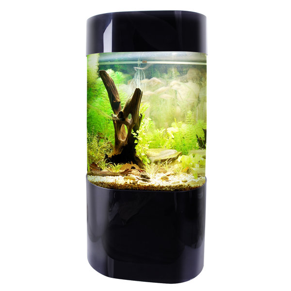 Nolen 35 Gallon Aquarium Tank by Tucker Murphy Pet