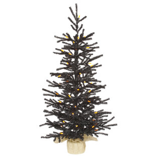 awesome picture of where can i buy a black christmas tree awesome picture of where can i buy a black christmas tree