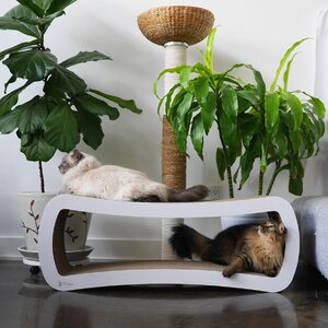 Jumbo Cat Scratcher Lounge & Bed