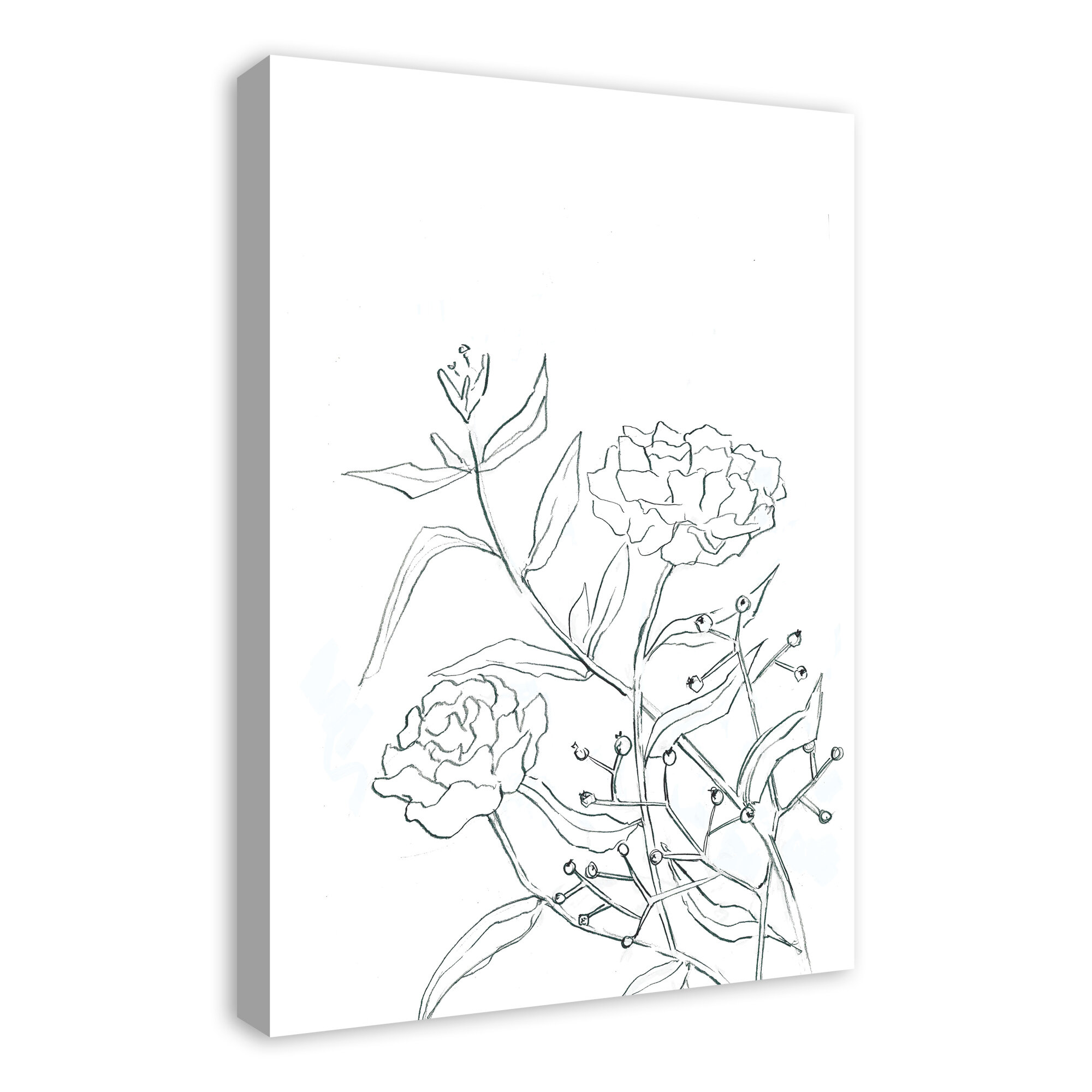 Roses Sketch Drawing Print On Wrapped Canvas