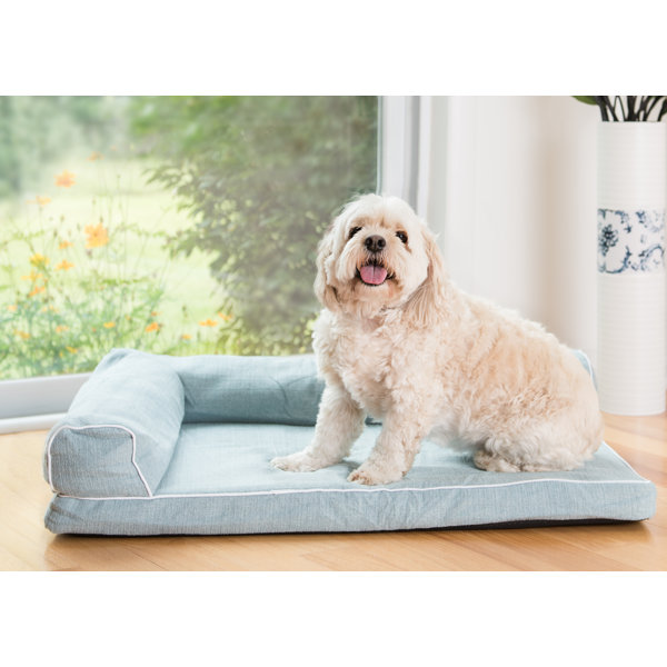 Pet Mat by Armarkat
