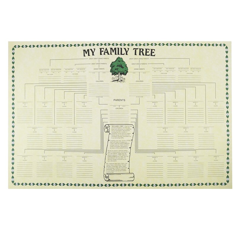 Treasure Gurus Large Genealogy Family History Tree Genetic Ancestry ...
