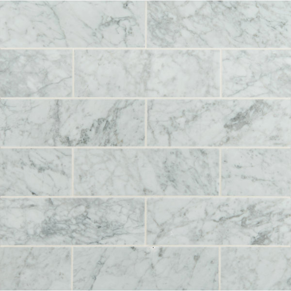 4 x 12 Honed Marble Tile in Arabescato Carrara by MSI
