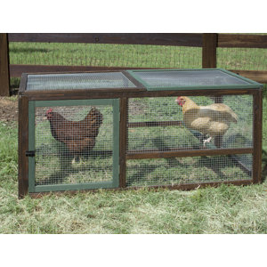 Hen House II Chicken Run with Roosting Bar