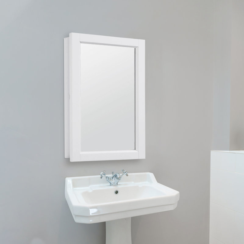 Winston Porter Searle Surface Mount Framed 1 Door Medicine Cabinet With 2 Adjustable Shelves Reviews Wayfair
