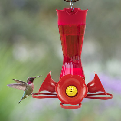 Pinch-Waist Glass Hummingbird Feeder Perky Pet