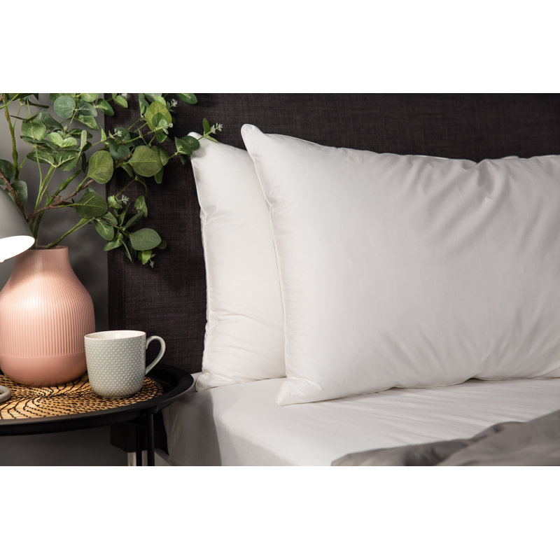 Snuggledown Clusterdown Non Allergenic Pillow Reviews Wayfair