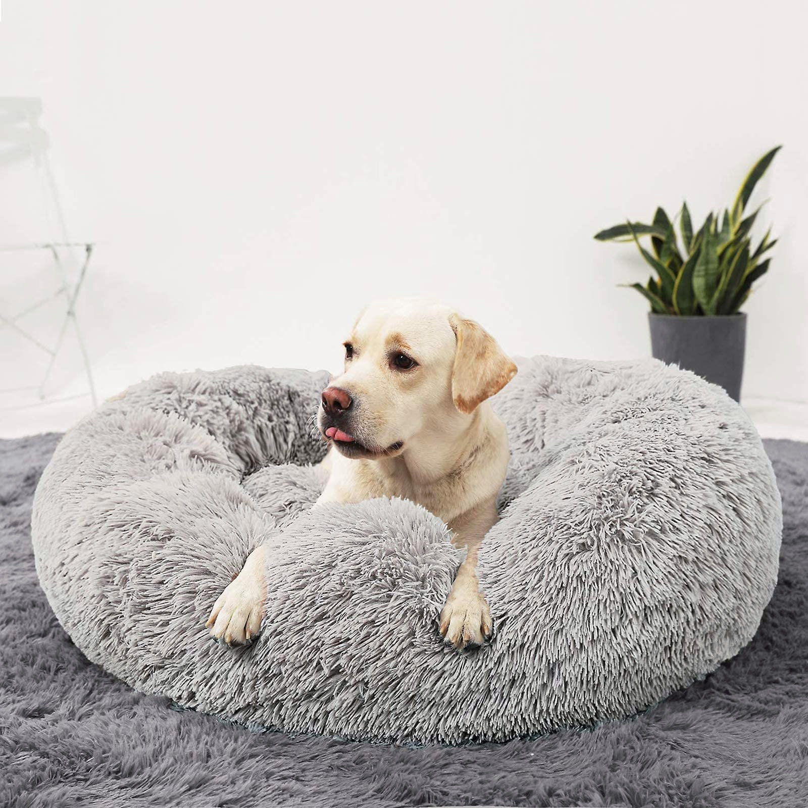 donut calming bed
