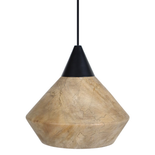 Hibbler 1 - Light Novelty Pendant Brayden Studio Finish: Black