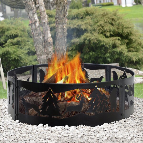 Steel Wood Burning Fire ring by Pleasant Hearth