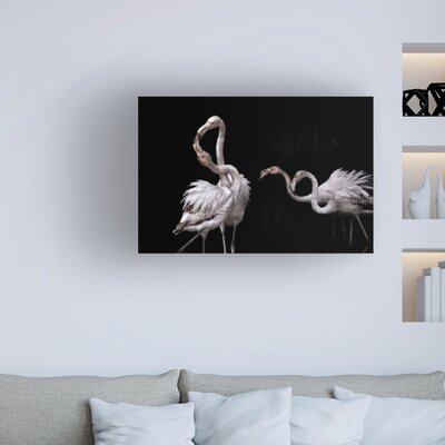 Martine Benezech 'Tango And Flamingos' Canvas Art Bay Isle Home™ Size: 22