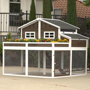 Garden Chicken Coop