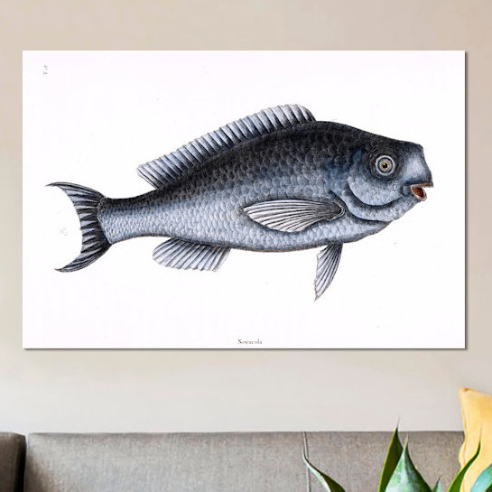 East Urban Home Catesby S Natural History Series Blue Fish