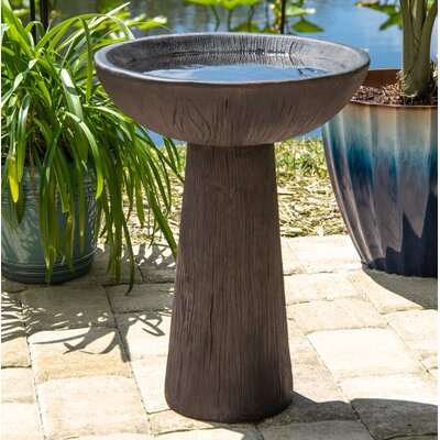 Bird Baths You'll Love | Wayfair