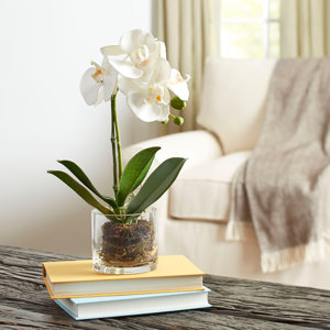 Faux Orchid in Glass Vase