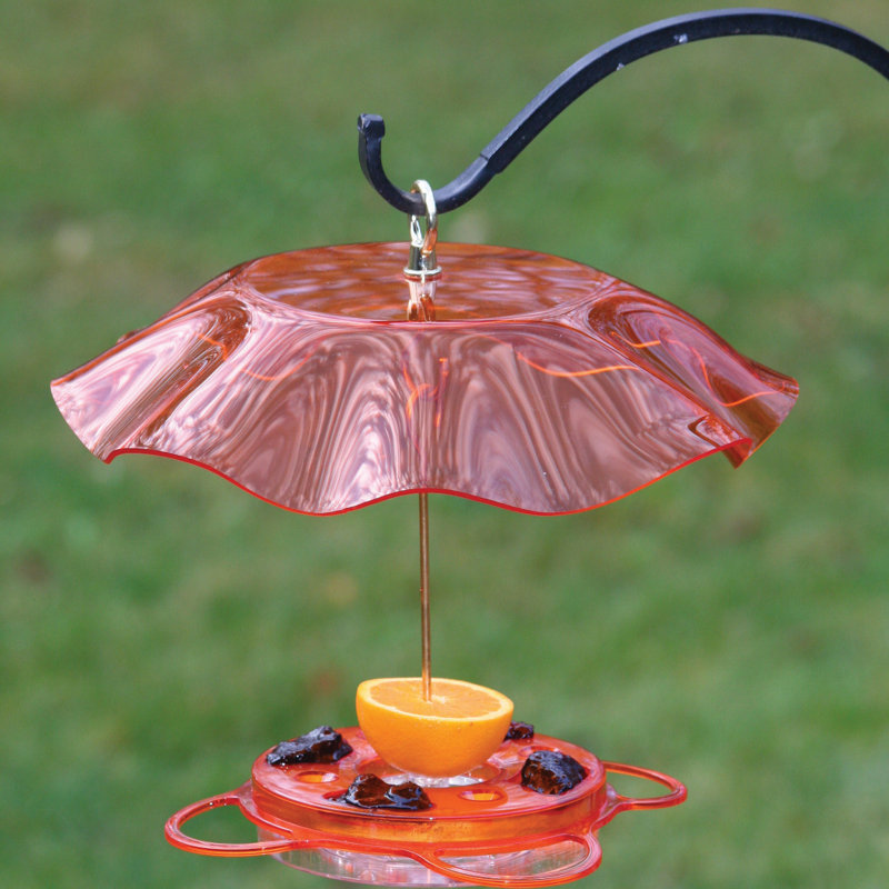Birds Choice Translucent Oriole Tray Bird Feeder Wayfair