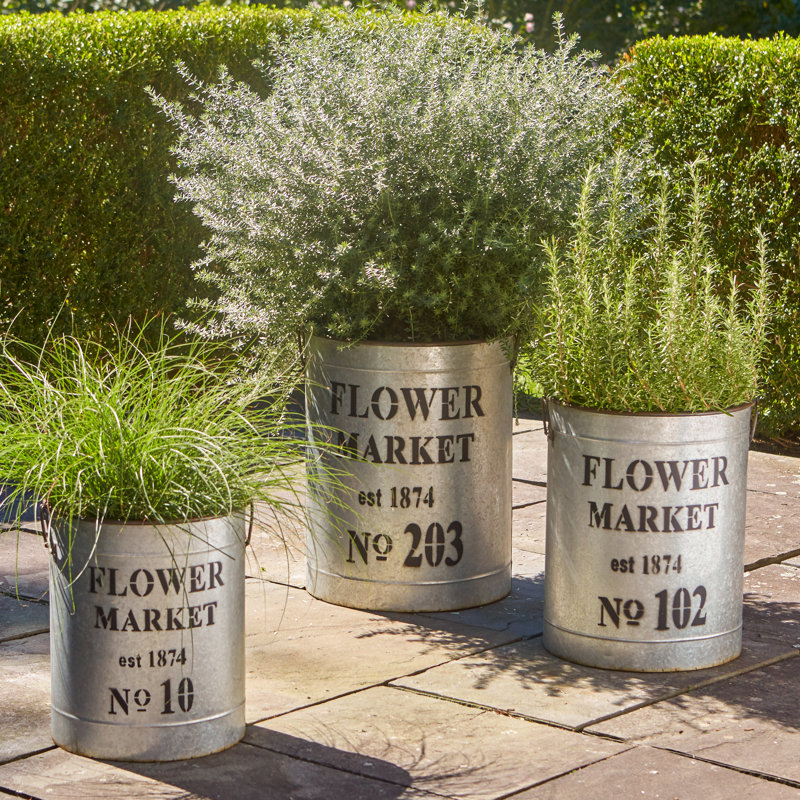 Flower Market 3-Piece Metal Planter box Set