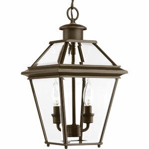 Gunnora 2-Light Outdoor Hanging Lantern