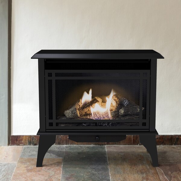 1,000 sq. ft. Vent Free Gas Stove by Pleasant Hearth