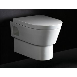 Square Modern Dual Flush Toilet Bowl