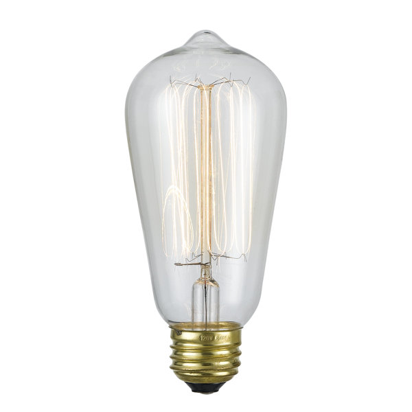60W E26 Incandescent Edison Light Bulb by Cal Lighting
