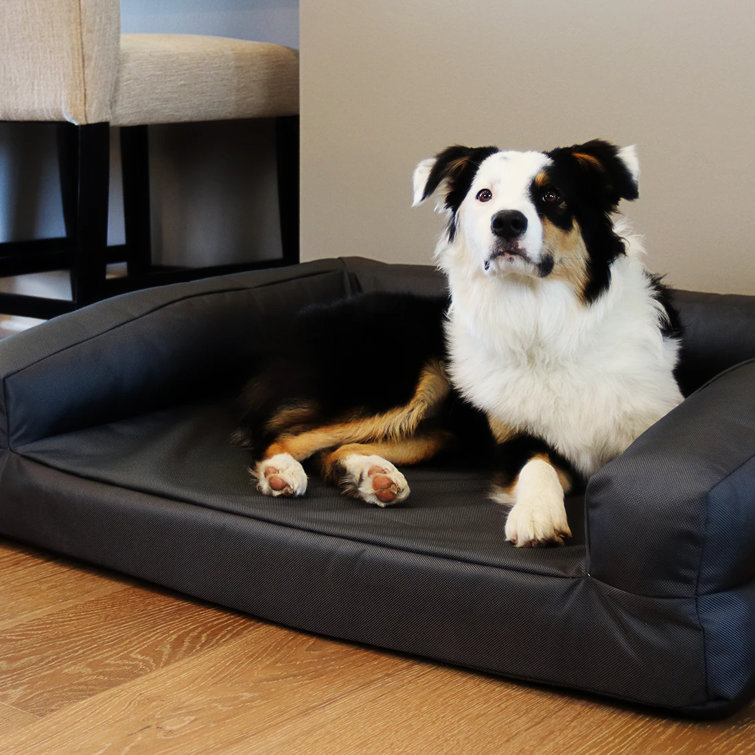 large chew resistant dog bed