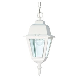 Briton 1-Light Outdoor Hanging Lantern