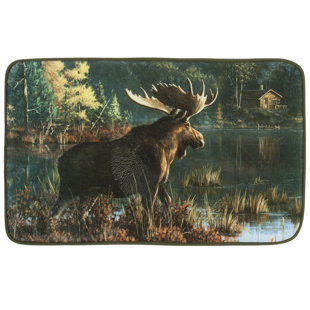 Animal Print Bath Rugs Mats You Ll Love Wayfair Ca Fuiloro Bath Rug