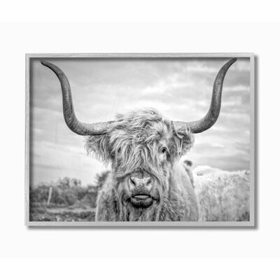 Highland Cow Print Union Rustic Format: Gray Framed, Size: 20