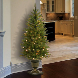 Christmas Front Porch Trees Wayfair 4 Green Fir Artificial Christmas Tree With 70 Clear Lights