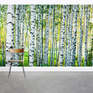 White Birch Tree Wallpaper Wayfair Spring Birch Tree Forest 8 X 144 3 Piece Wall Mural