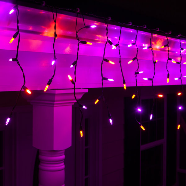 70 Purple/Amber LED Icicle Light String by Wintergreen Lighting