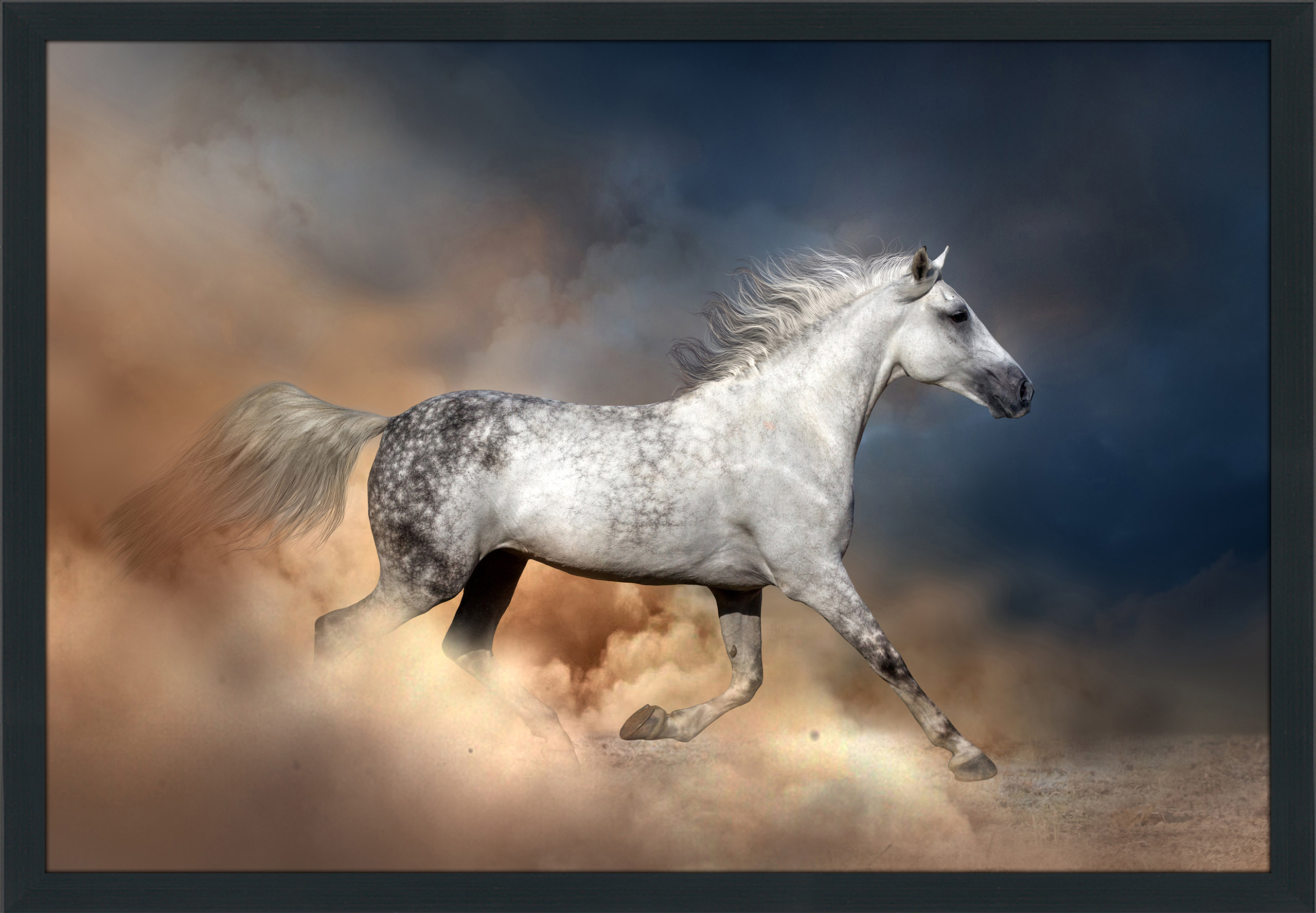Mustang Stallion Horses Panoramic Picture Canvas Print Home Decor Wall Art