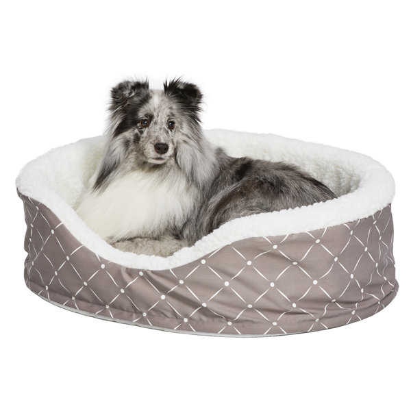 Labrador Quiet Time Bolster by Tucker Murphy Pet