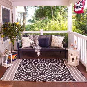 Tayler Indoor/Outdoor Black/Beige Area Rug