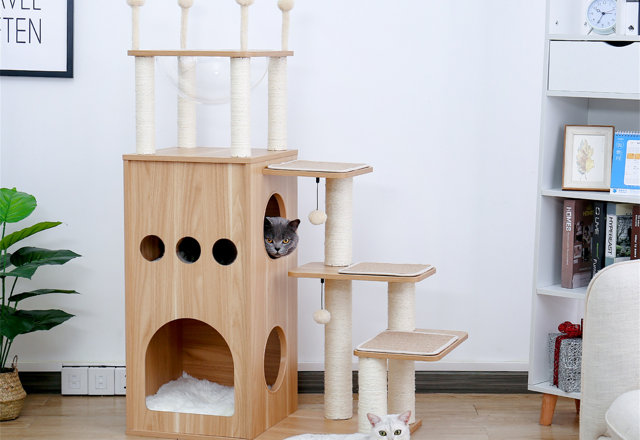 Top-Rated Cat Trees