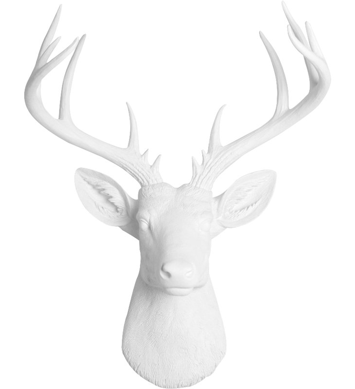 Gracie Oaks Faux Deer Head Wall Décor Reviews Wayfair Faux Deer Head Wall Décor