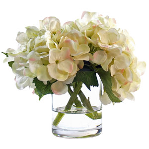 White Hydrangea in Glass Vase