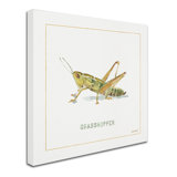 Grasshopper Wayfair