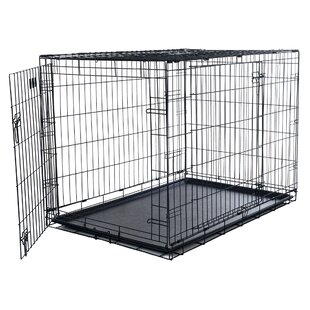 extra large dog crate pets at home