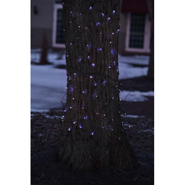 Mini 150 Light Net Light by The Holiday Aisle