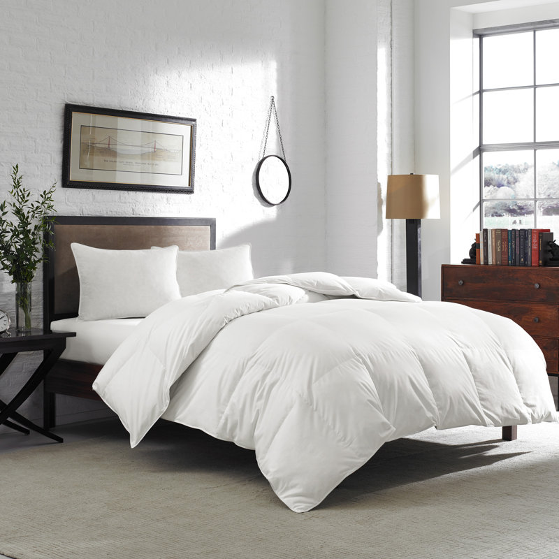 Ed Bauer All Season Down Comforter Reviews Wayfair The Look