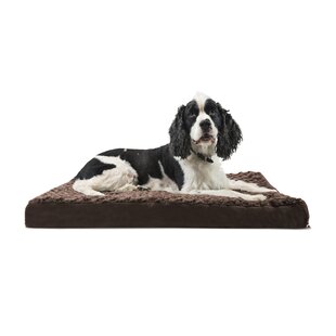 wayfair extra large dog beds