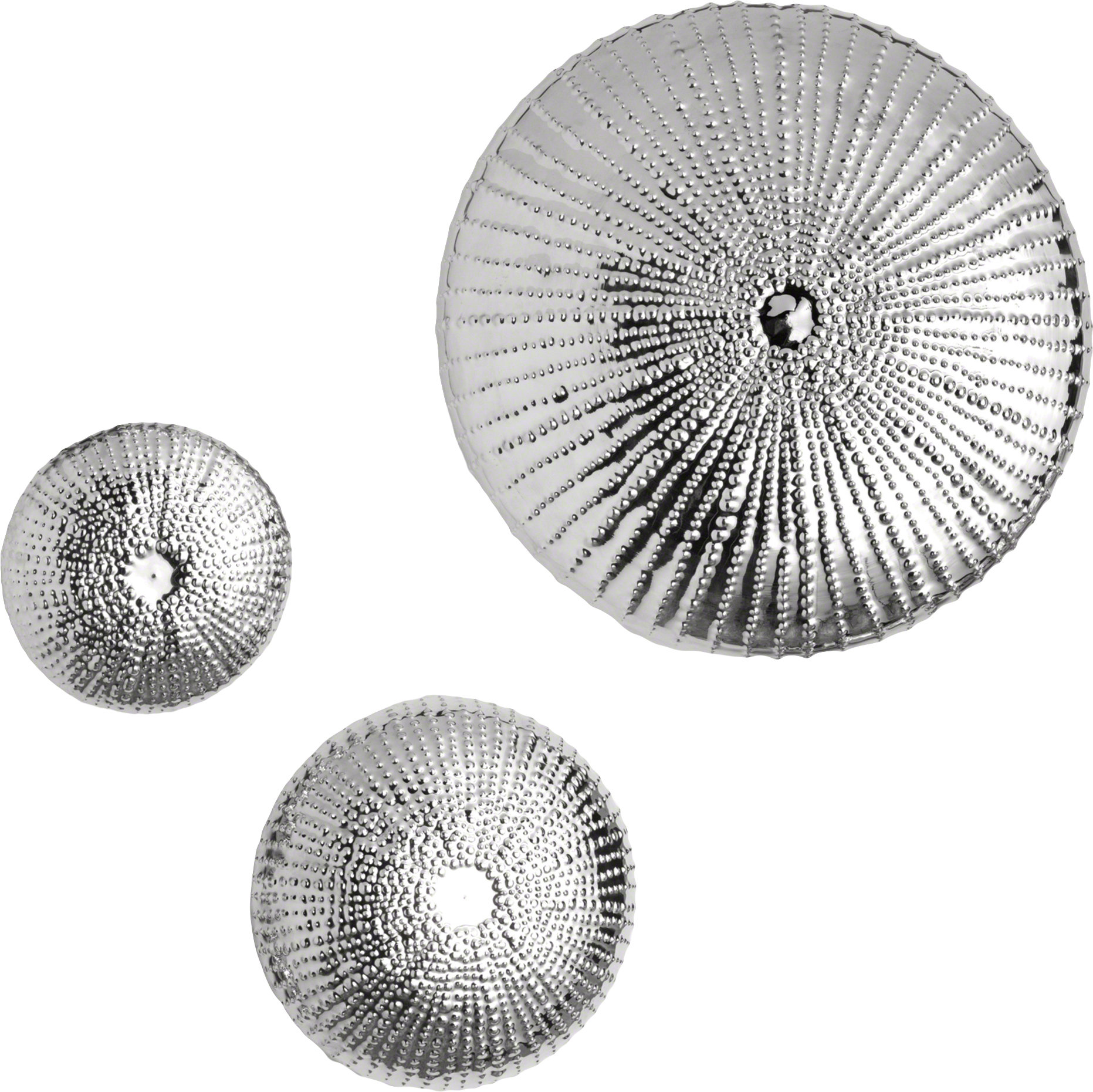 Global Views Sea Urchin Wall Décor Wayfair