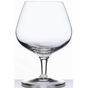 Michelangelo Brandy Snifter Glass (Set of 4)